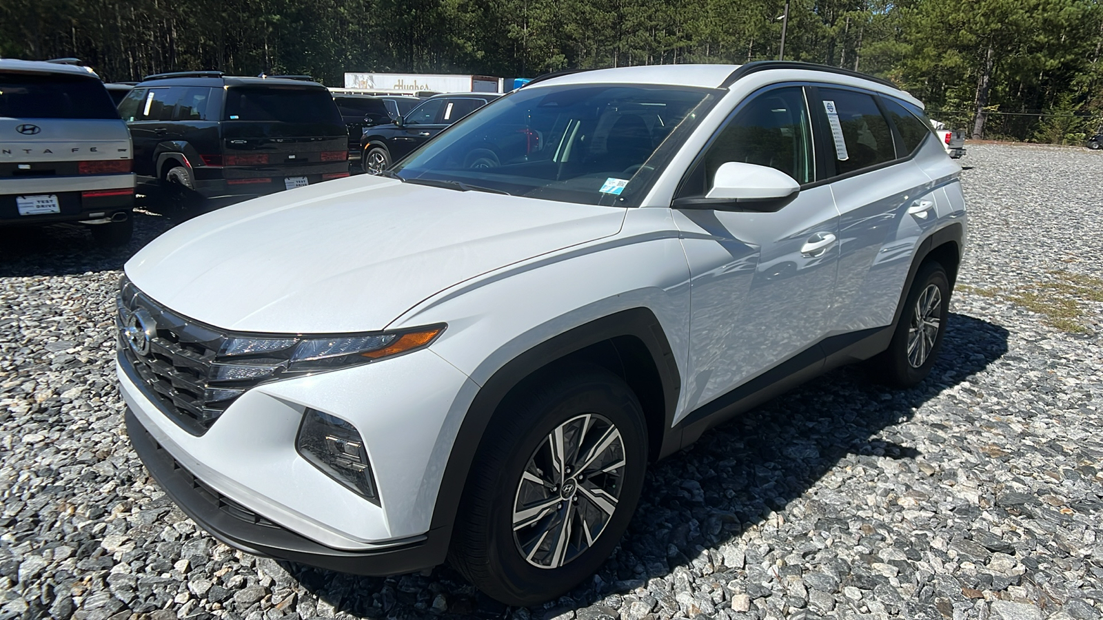 2024 Hyundai Tucson Hybrid Blue 3