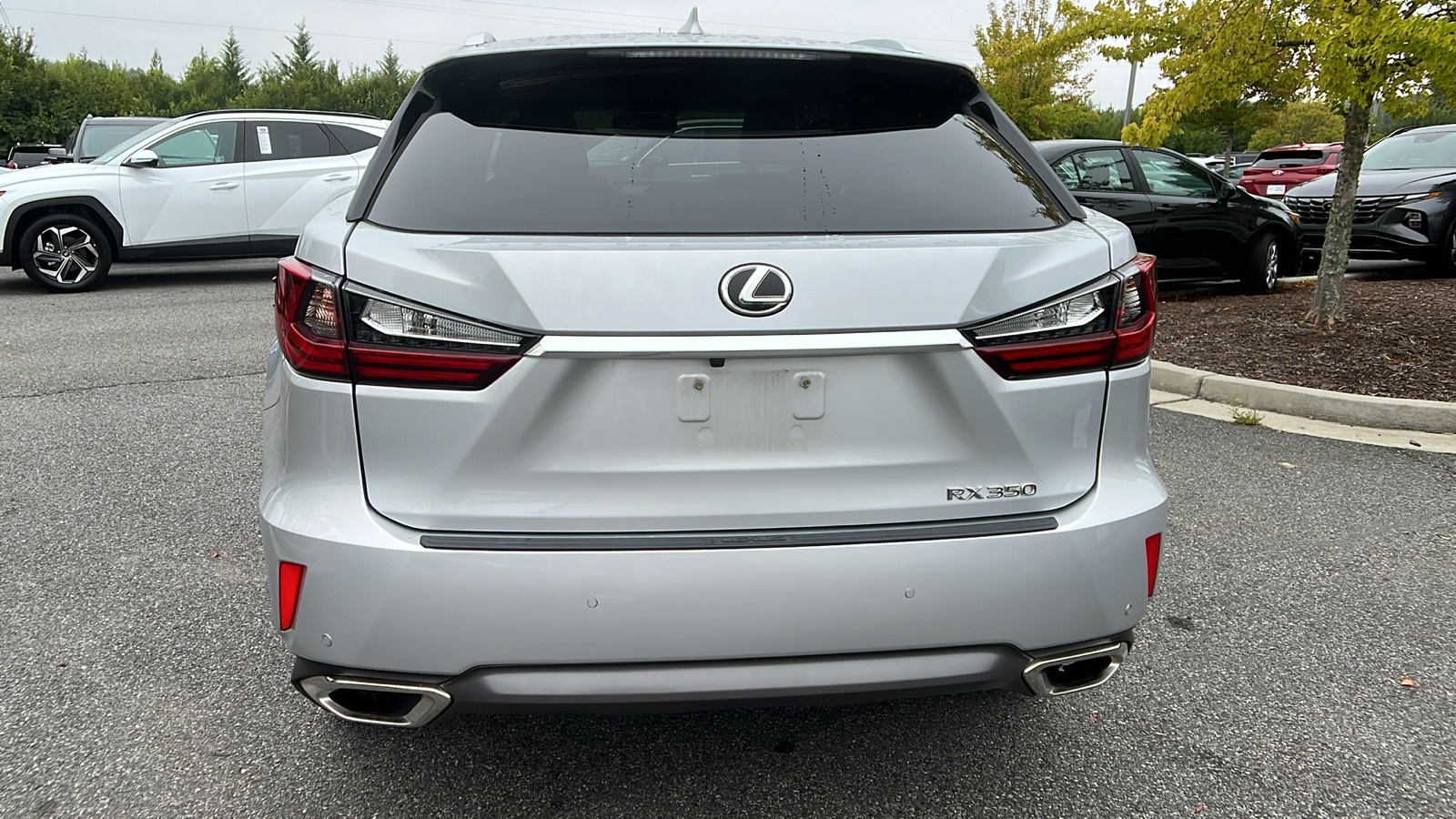 2017 Lexus RX 350 6