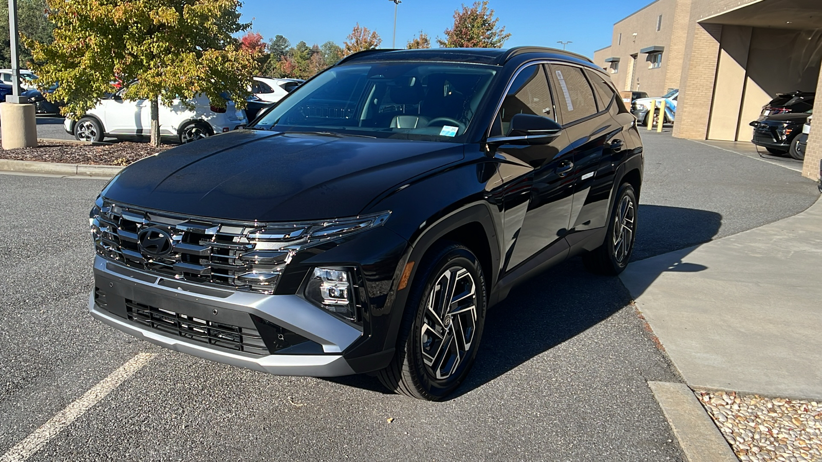 2025 Hyundai Tucson Hybrid Limited 3