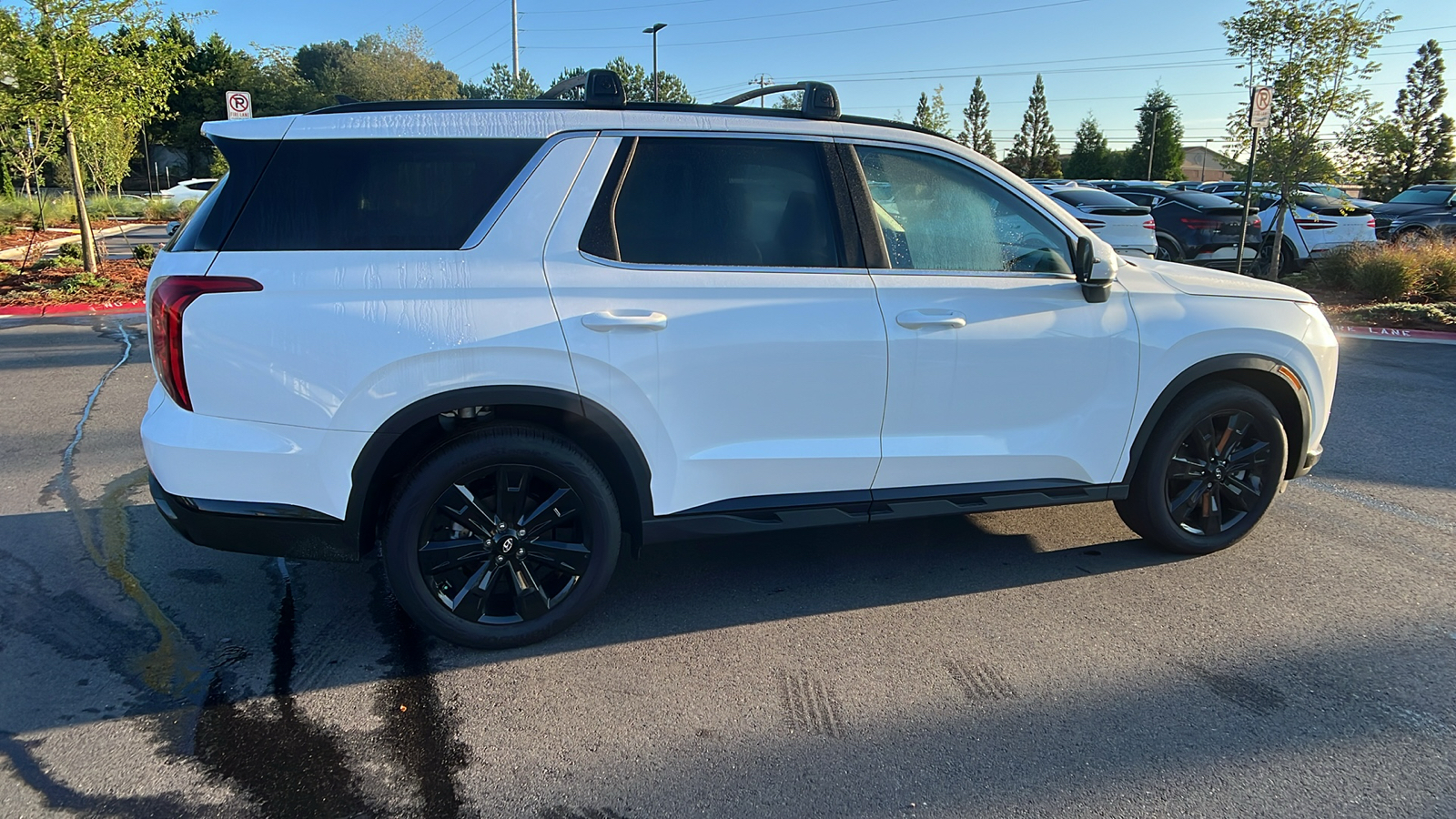 2024 Hyundai Palisade XRT 8