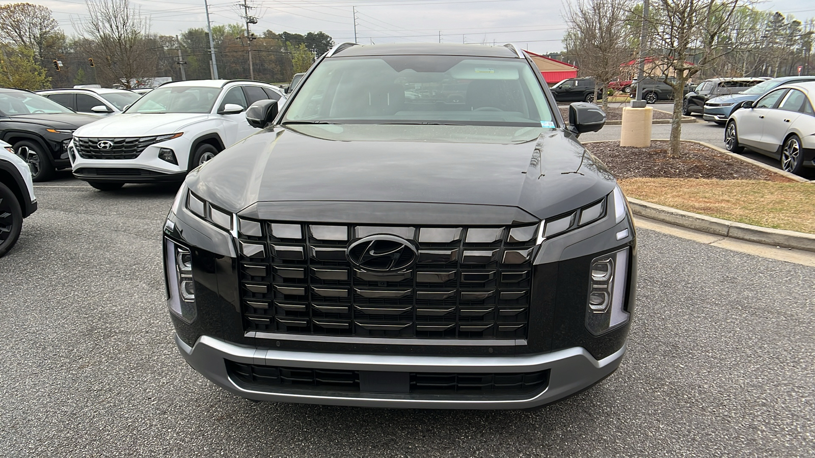 2024 Hyundai Palisade Limited 8