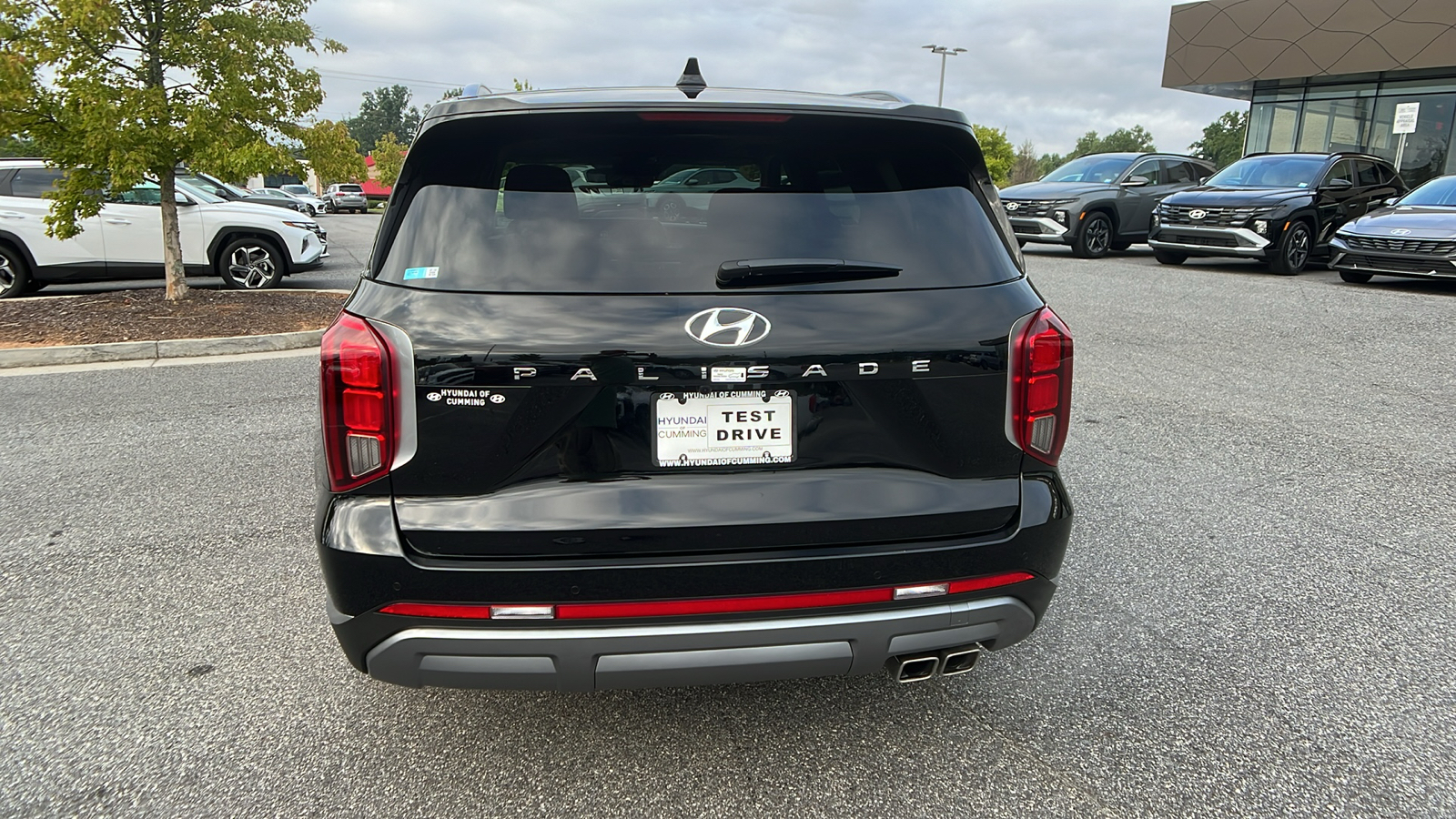 2024 Hyundai Palisade Limited 6