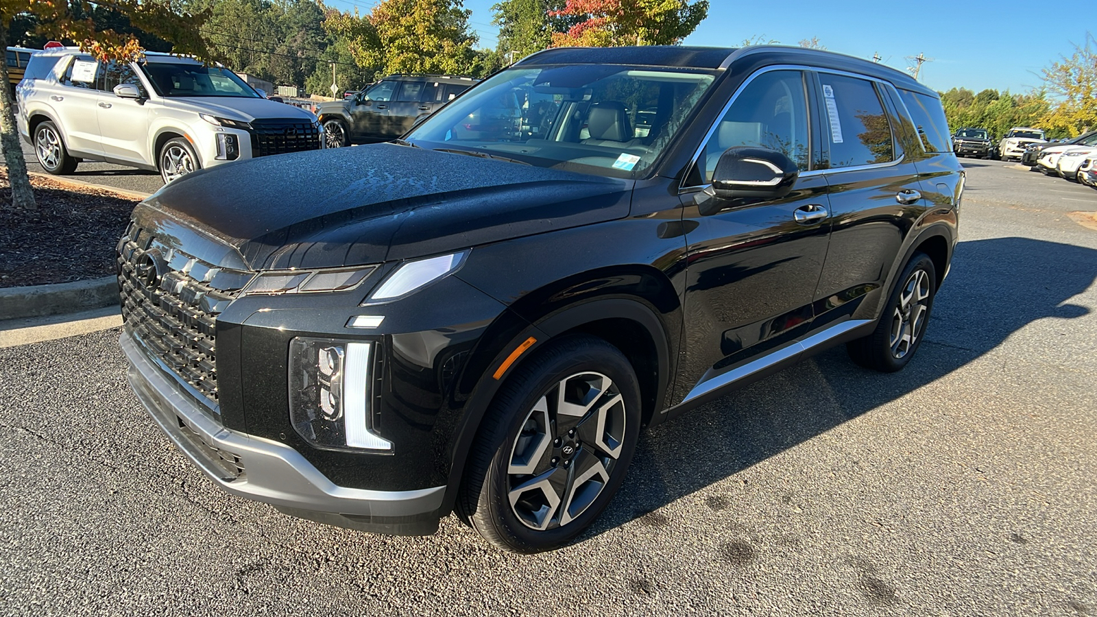 2025 Hyundai Palisade SEL Premium 3