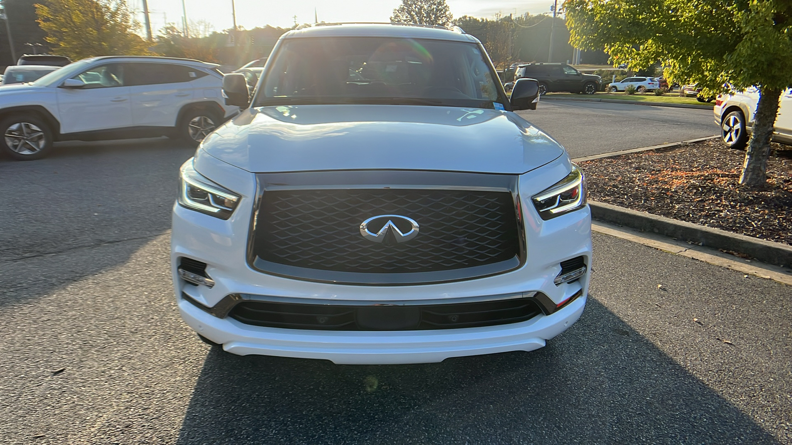 2022 INFINITI QX80 Premium Select 2