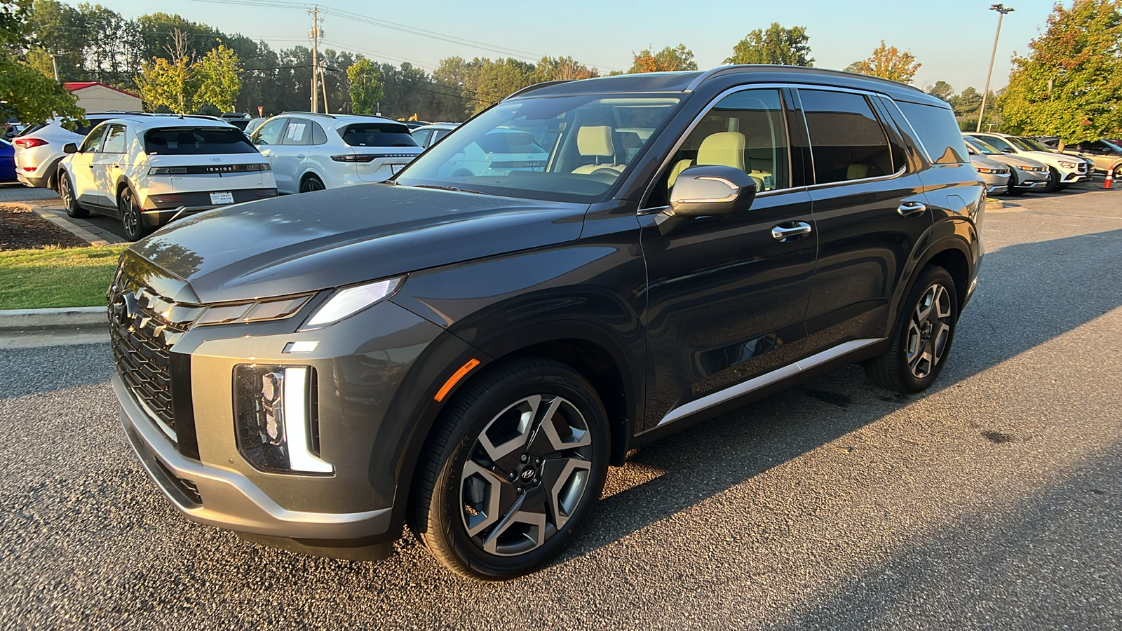 2025 Hyundai Palisade SEL 3