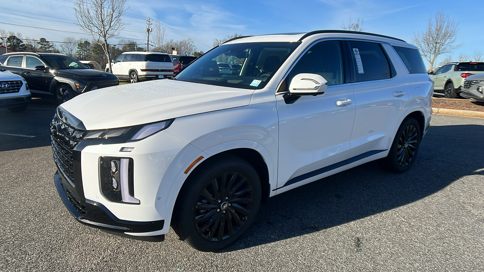 2025 Hyundai Palisade Calligraphy Night Edition 3