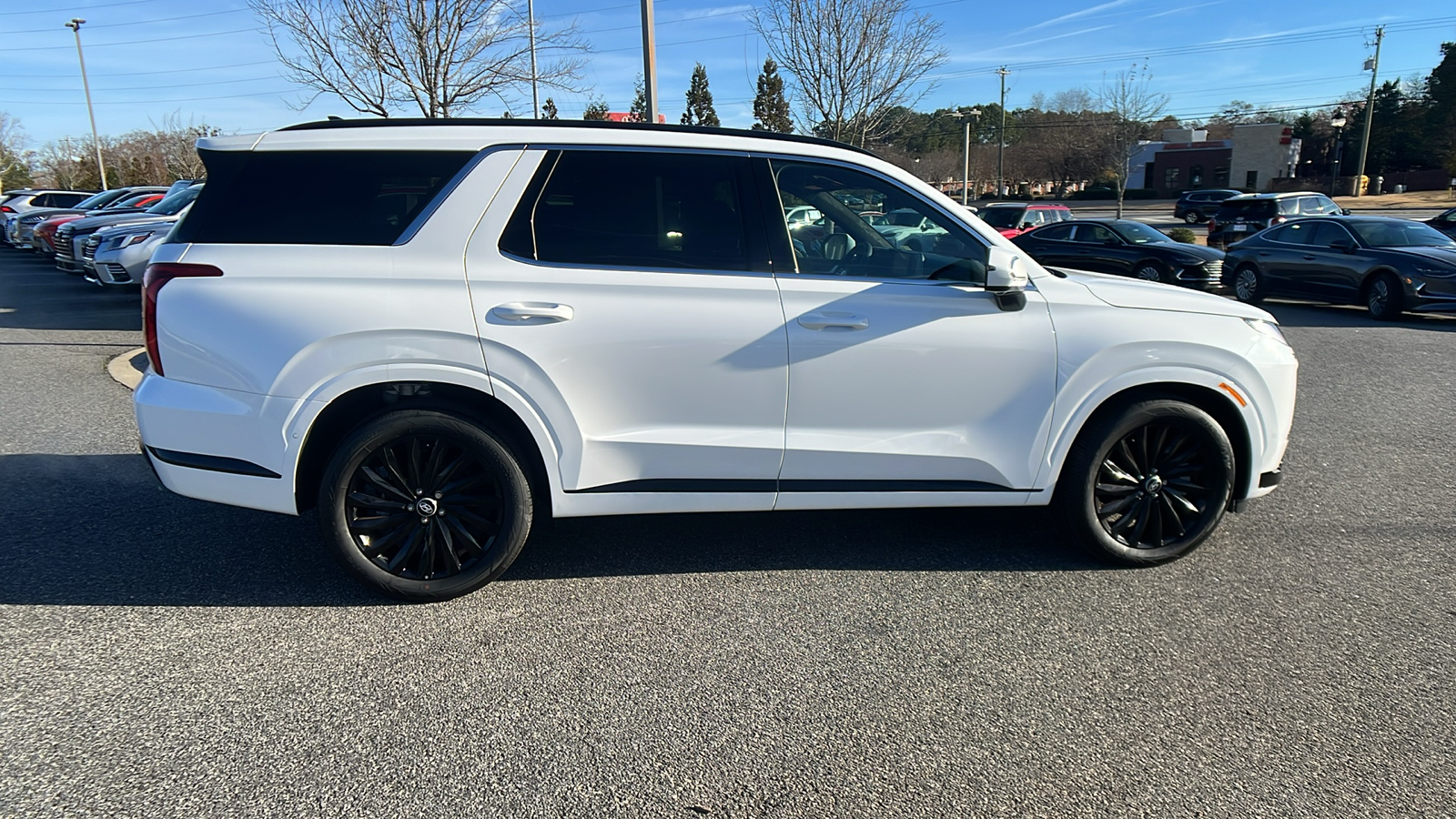 2025 Hyundai Palisade Calligraphy Night Edition 8