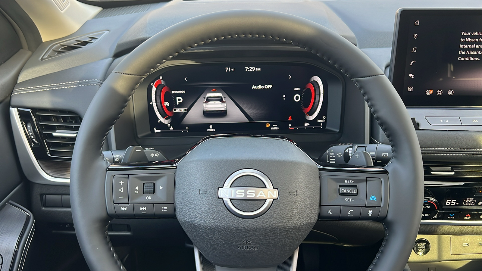 2025 Nissan Rogue Platinum 15