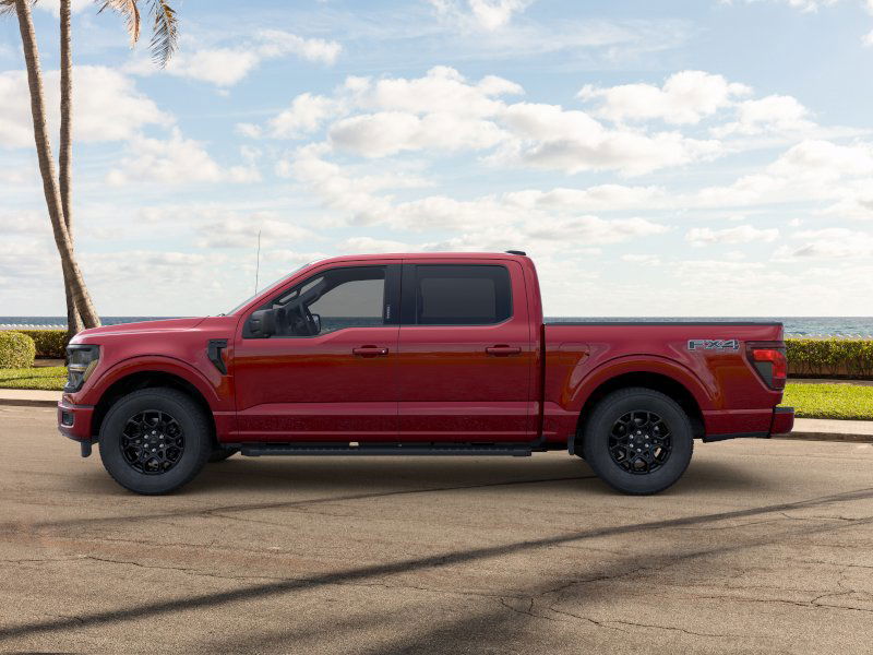 2024 Ford F-150 XLT 3