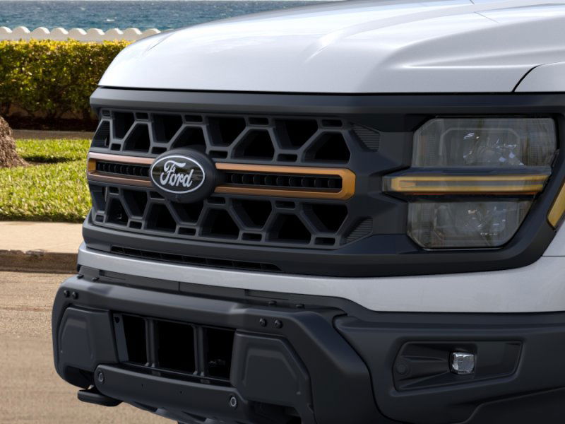 2024 Ford F-150 Tremor 17