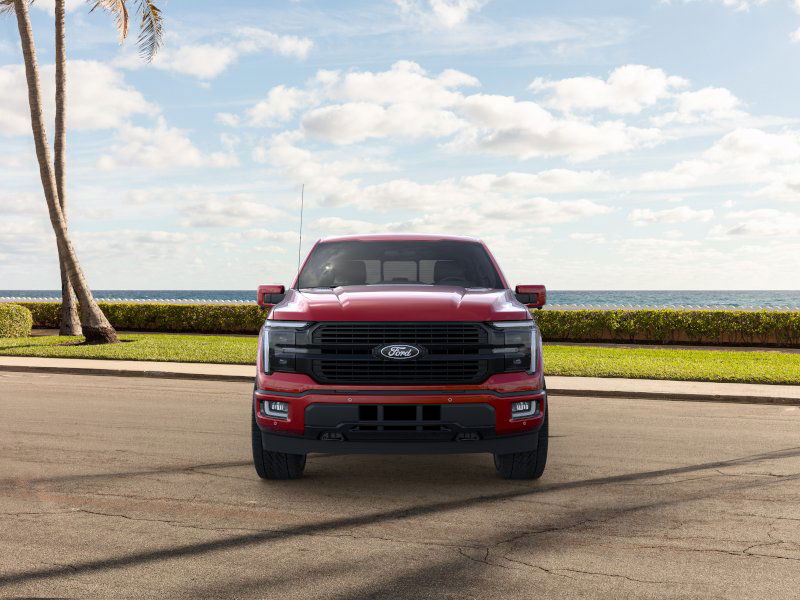 2024 Ford F-150 Platinum 6