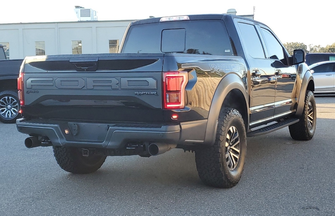 2020 Ford F-150 Raptor 5