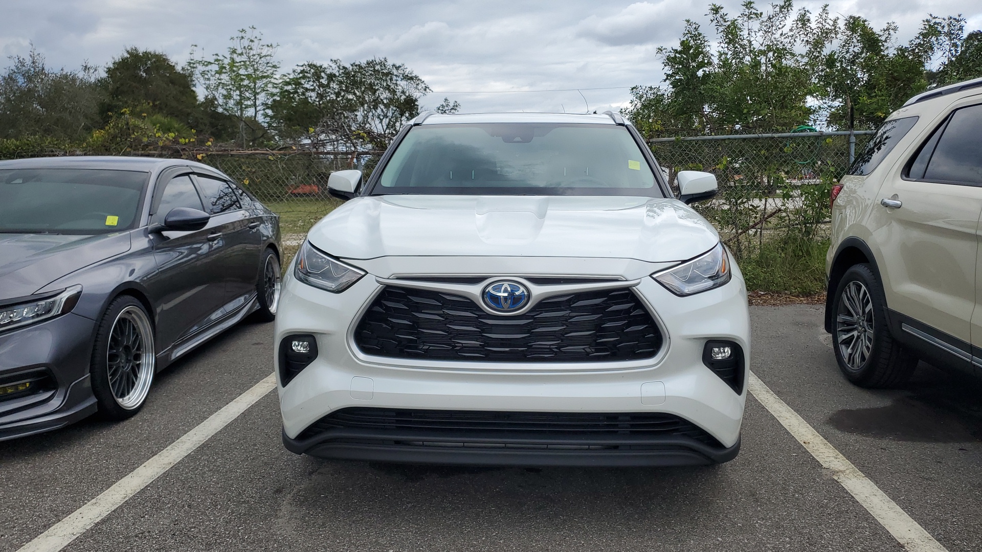 2023 Toyota Highlander Hybrid Bronze Edition 2