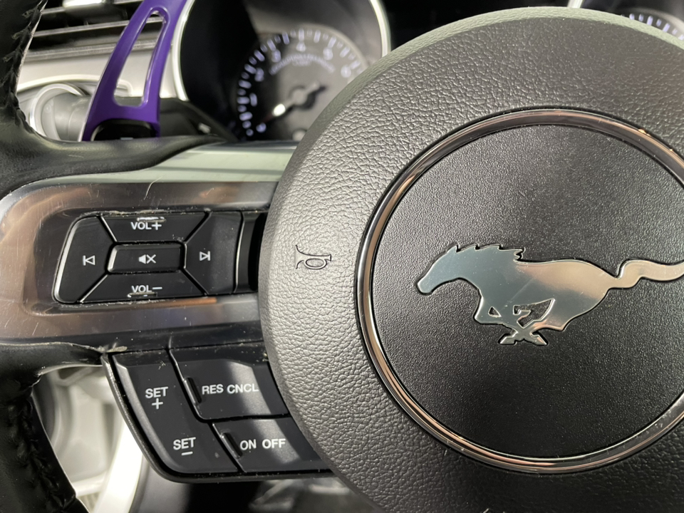 2018 Ford Mustang GT Premium 22