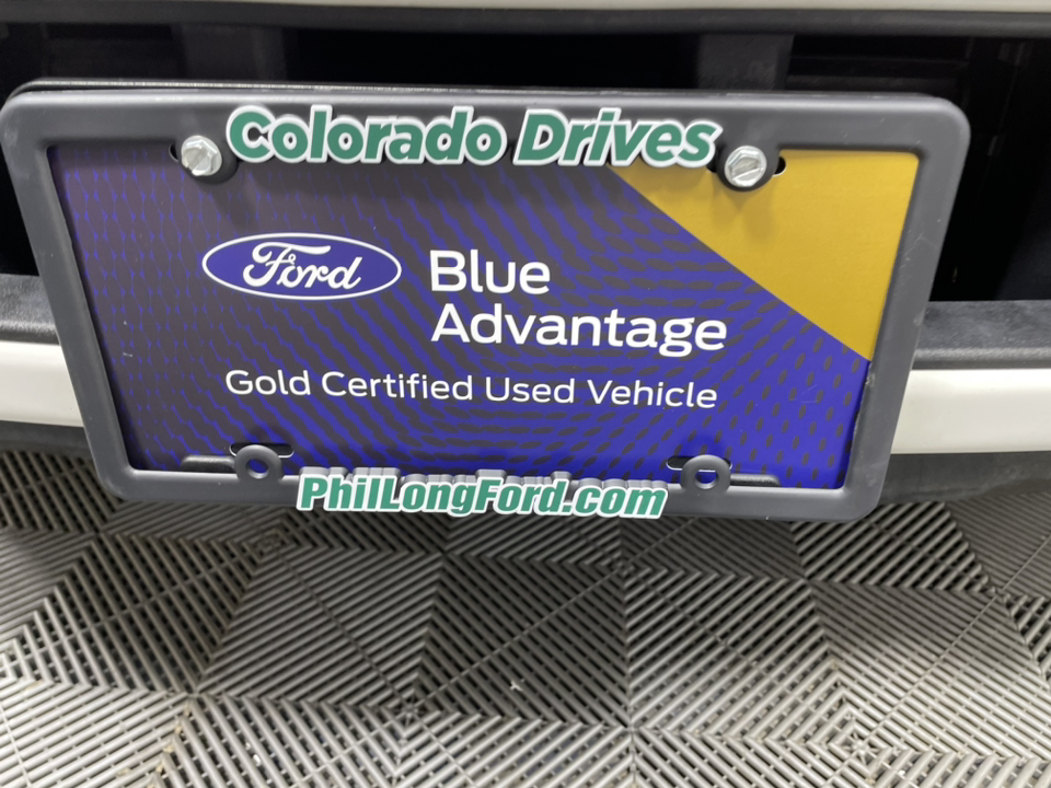 2020 Ford F-150 Platinum 2