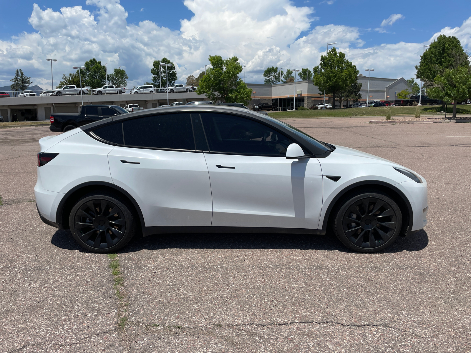 2022 Tesla Model Y  2