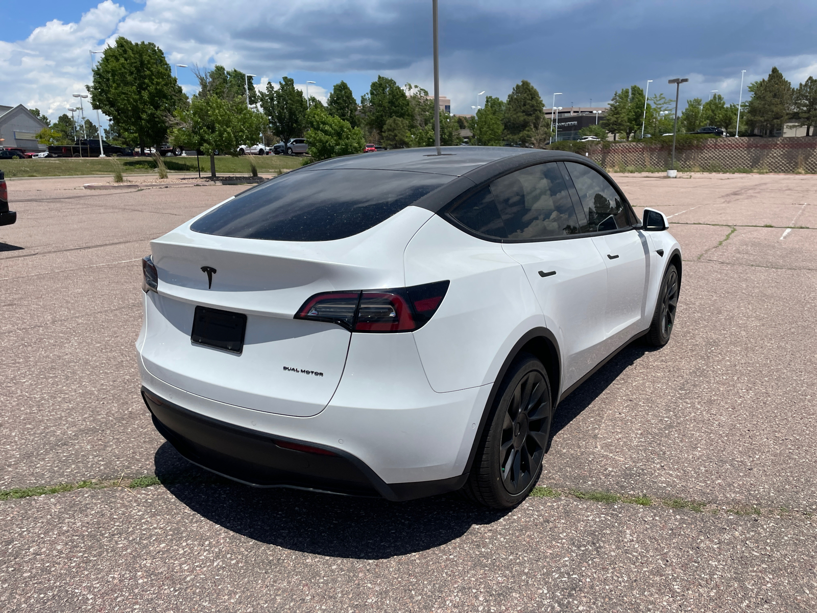 2022 Tesla Model Y  3