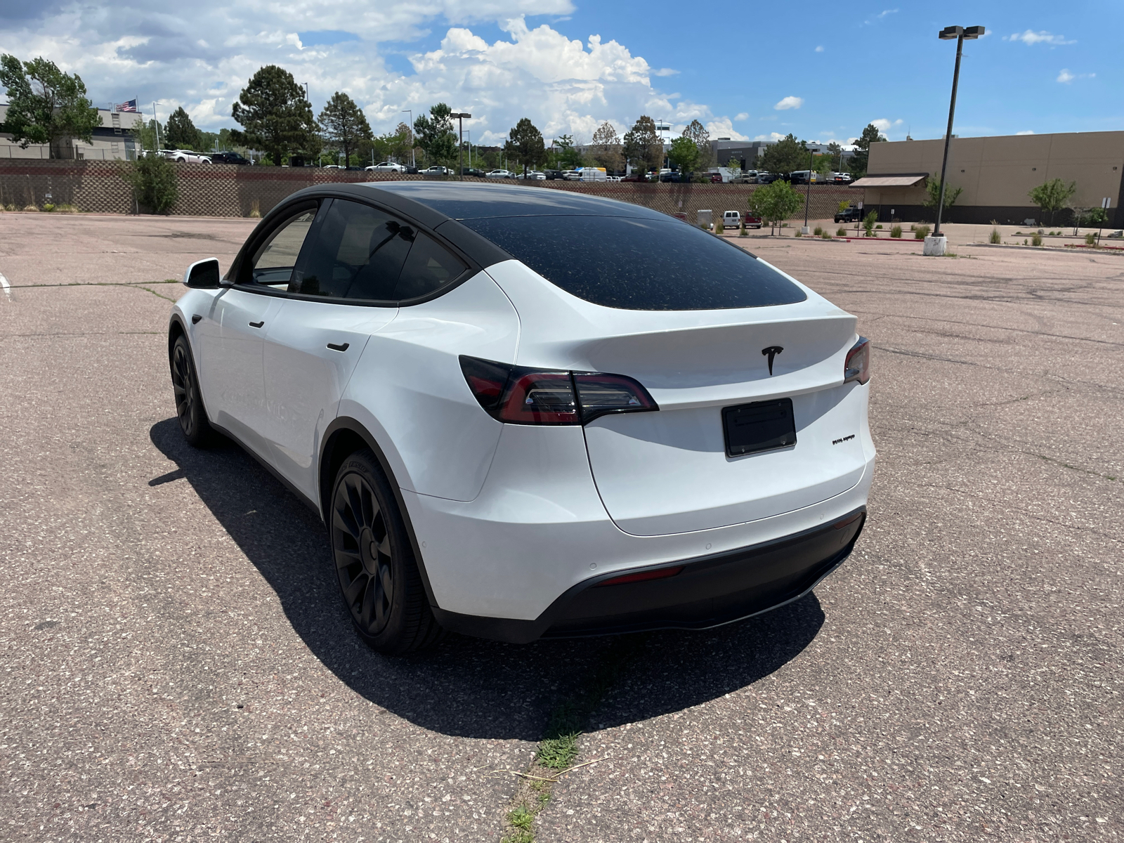 2022 Tesla Model Y  5