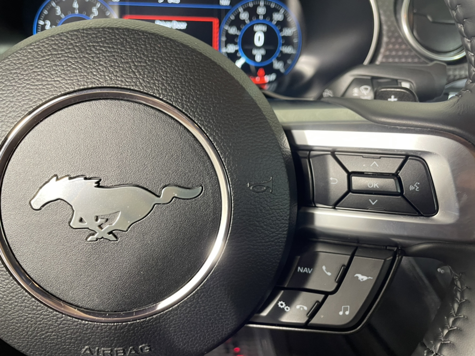 2022 Ford Mustang EcoBoost Premium 22