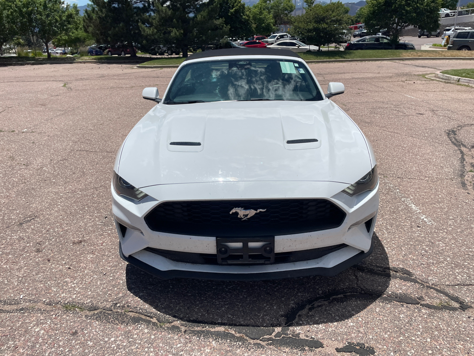 2021 Ford Mustang EcoBoost 8