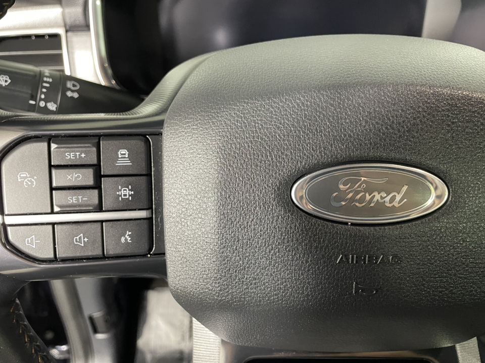 2021 Ford F-150 Platinum 24