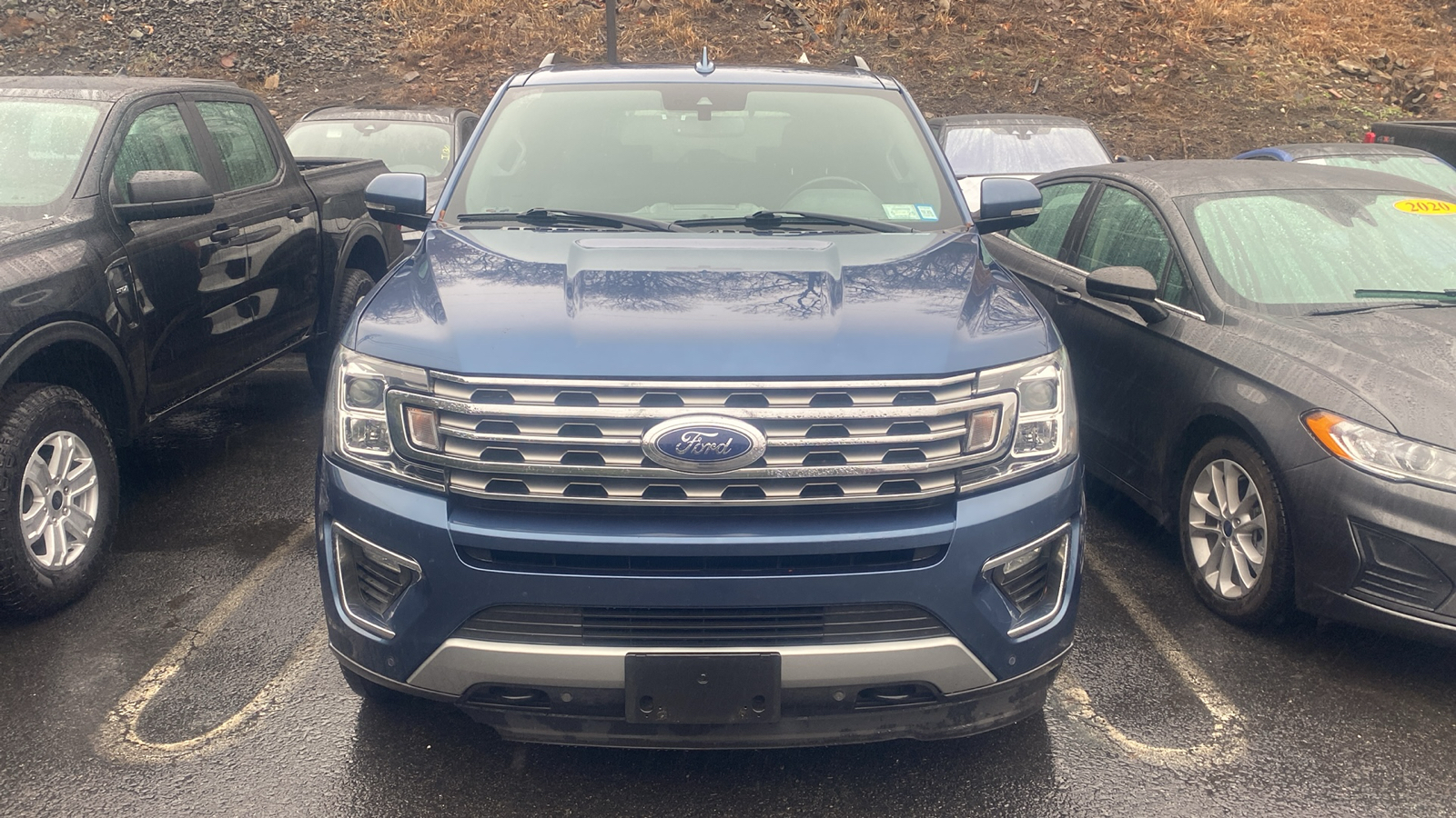 2019 Ford Expedition Limited 3