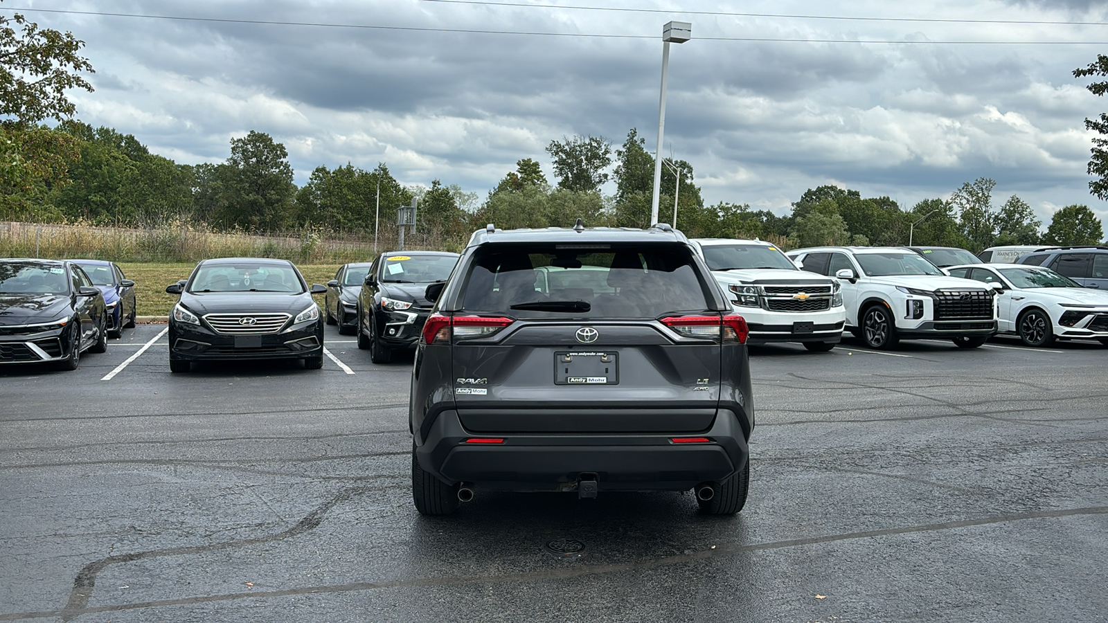 2019 Toyota RAV4 LE 6