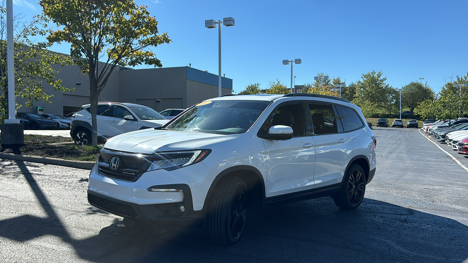 2022 Honda Pilot Black Edition 3