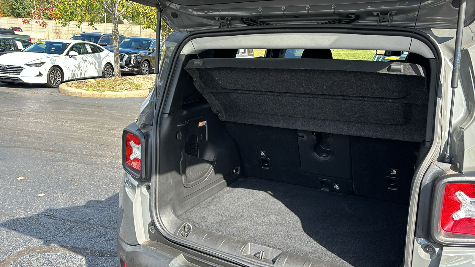 2021 Jeep Renegade Latitude 38