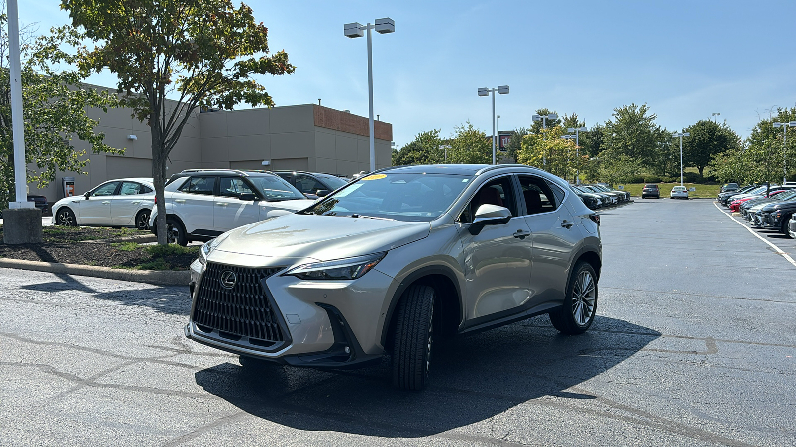 2022 Lexus NX 350h Luxury 3