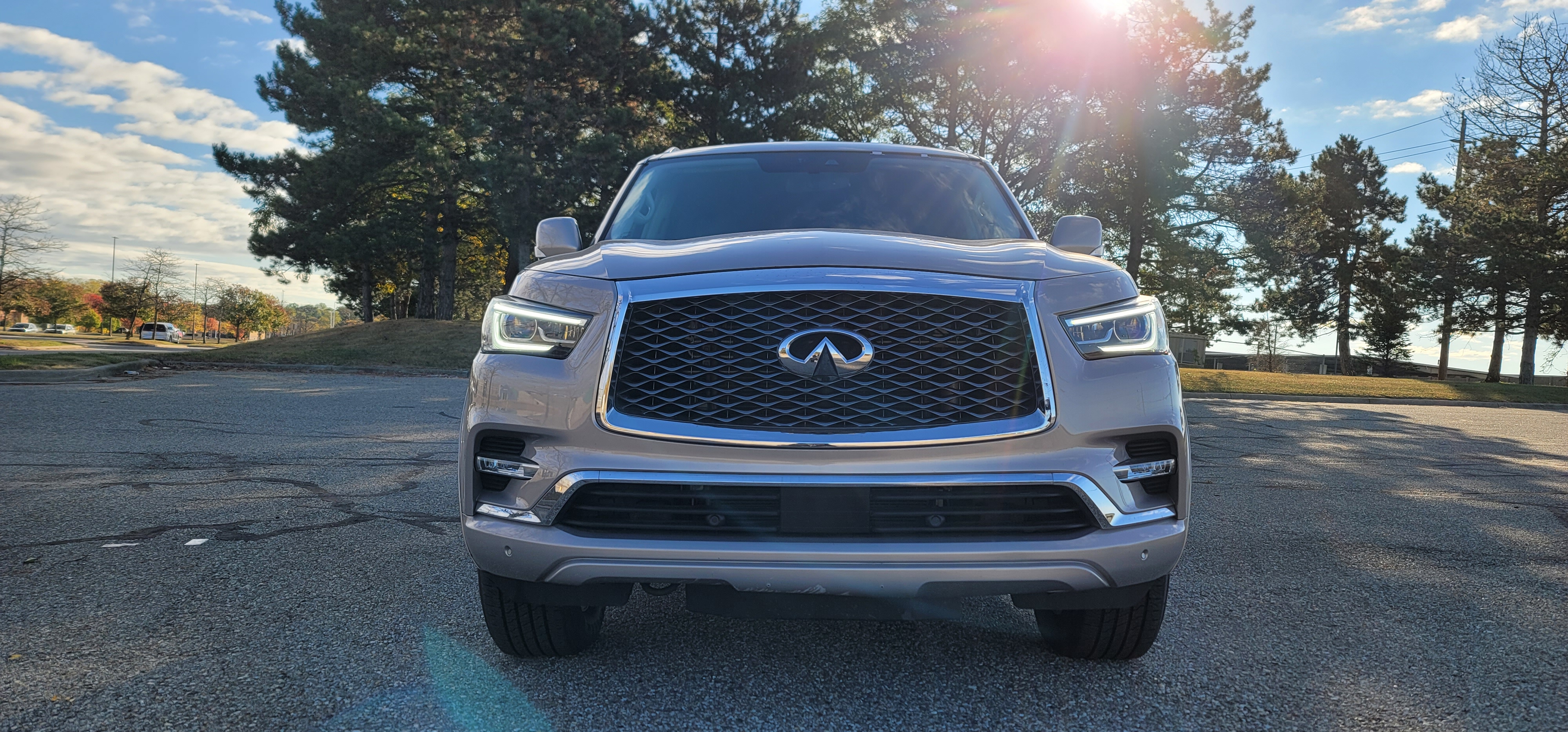 2019 INFINITI QX80 LUXE 48