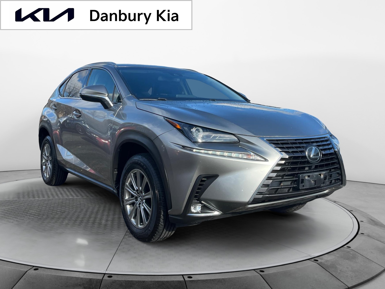 2018 Lexus NX  1