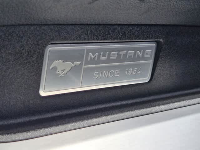 2015 Ford Mustang GT Premium 30