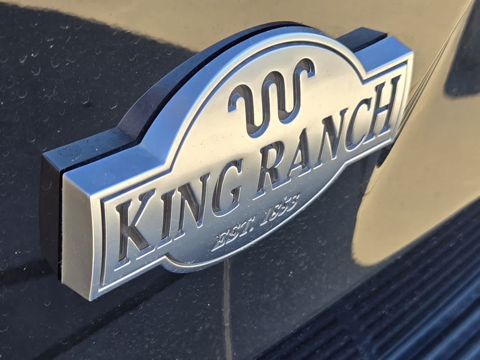 2020 Ford Expedition King Ranch 6