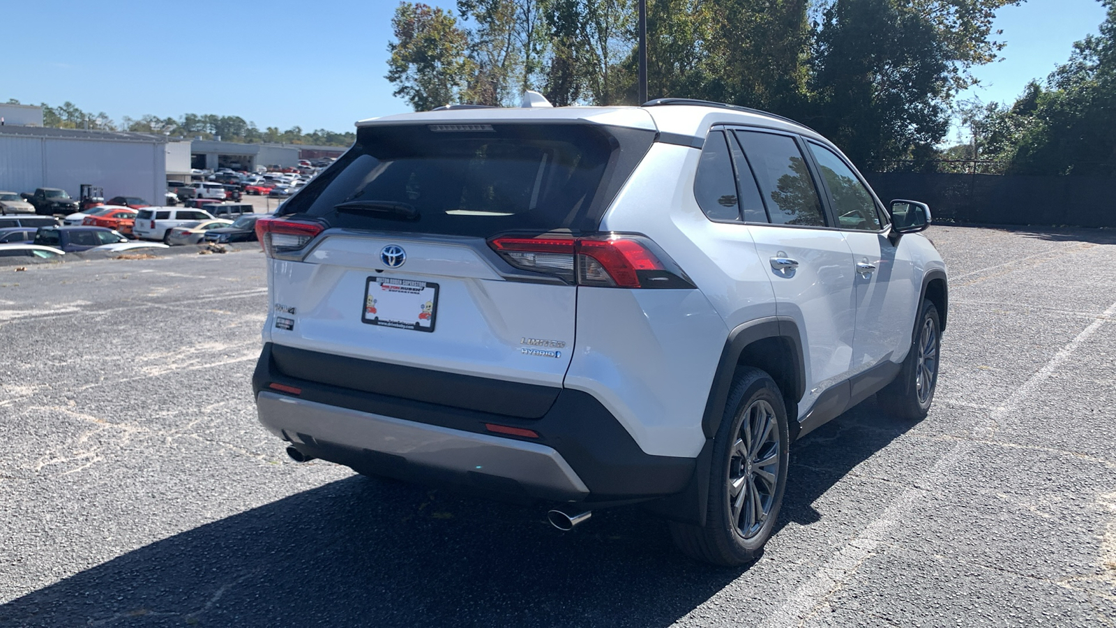 2024 Toyota RAV4 Hybrid Limited 8