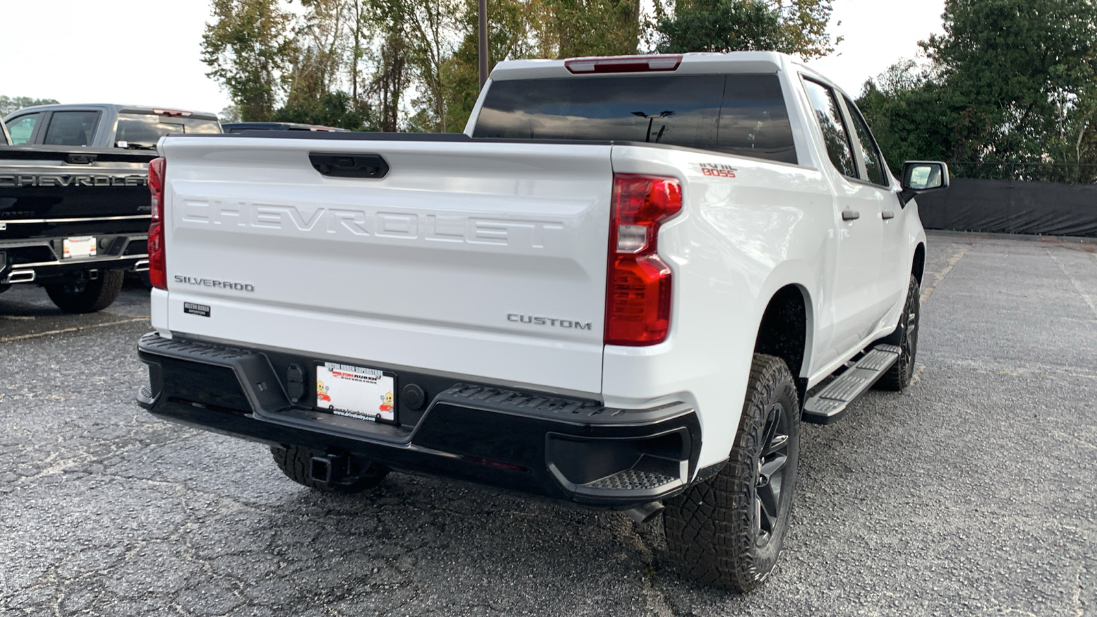 2025 Chevrolet Silverado 1500 Custom Trail Boss 8