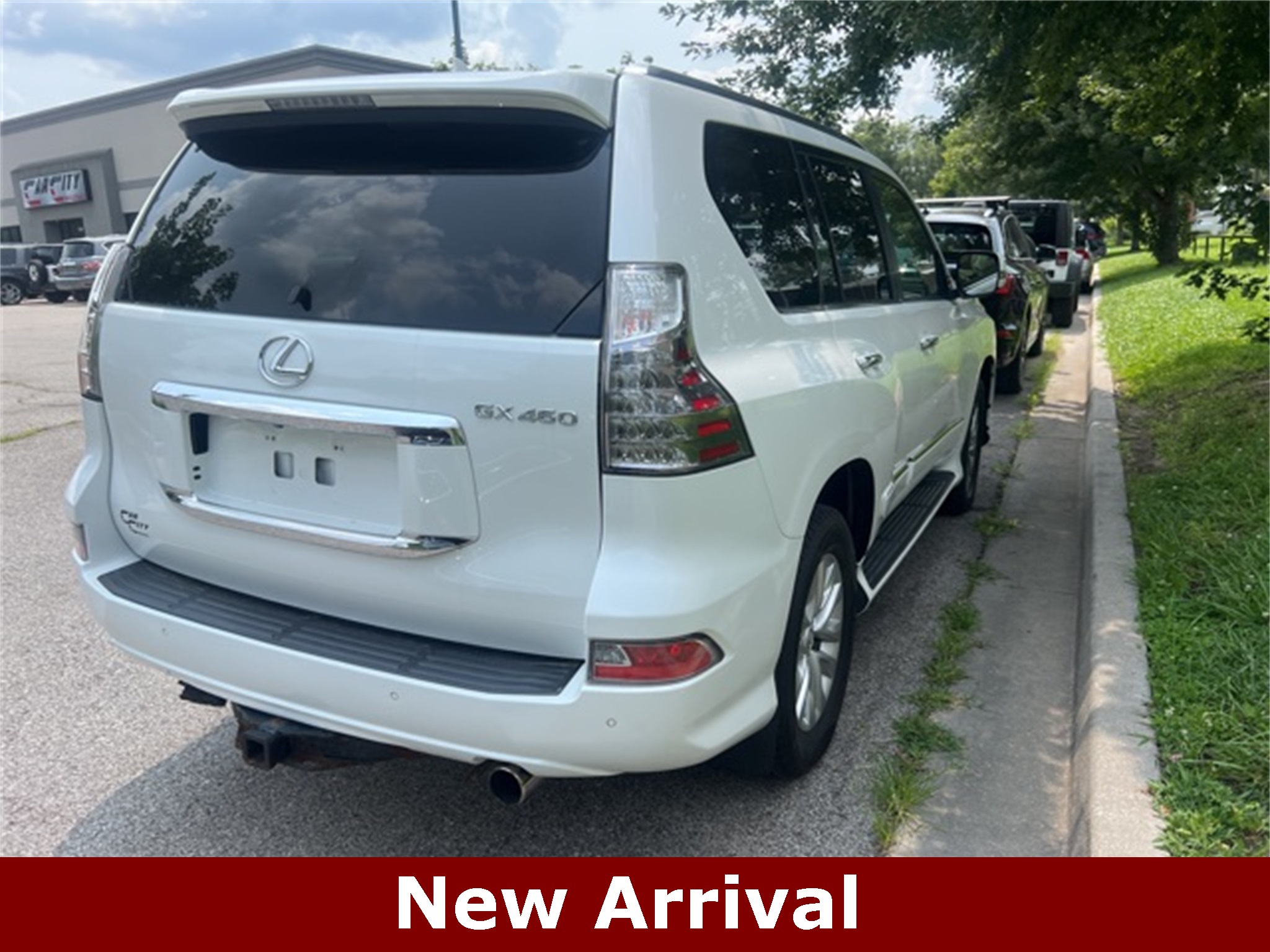 2014 Lexus GX 460 4