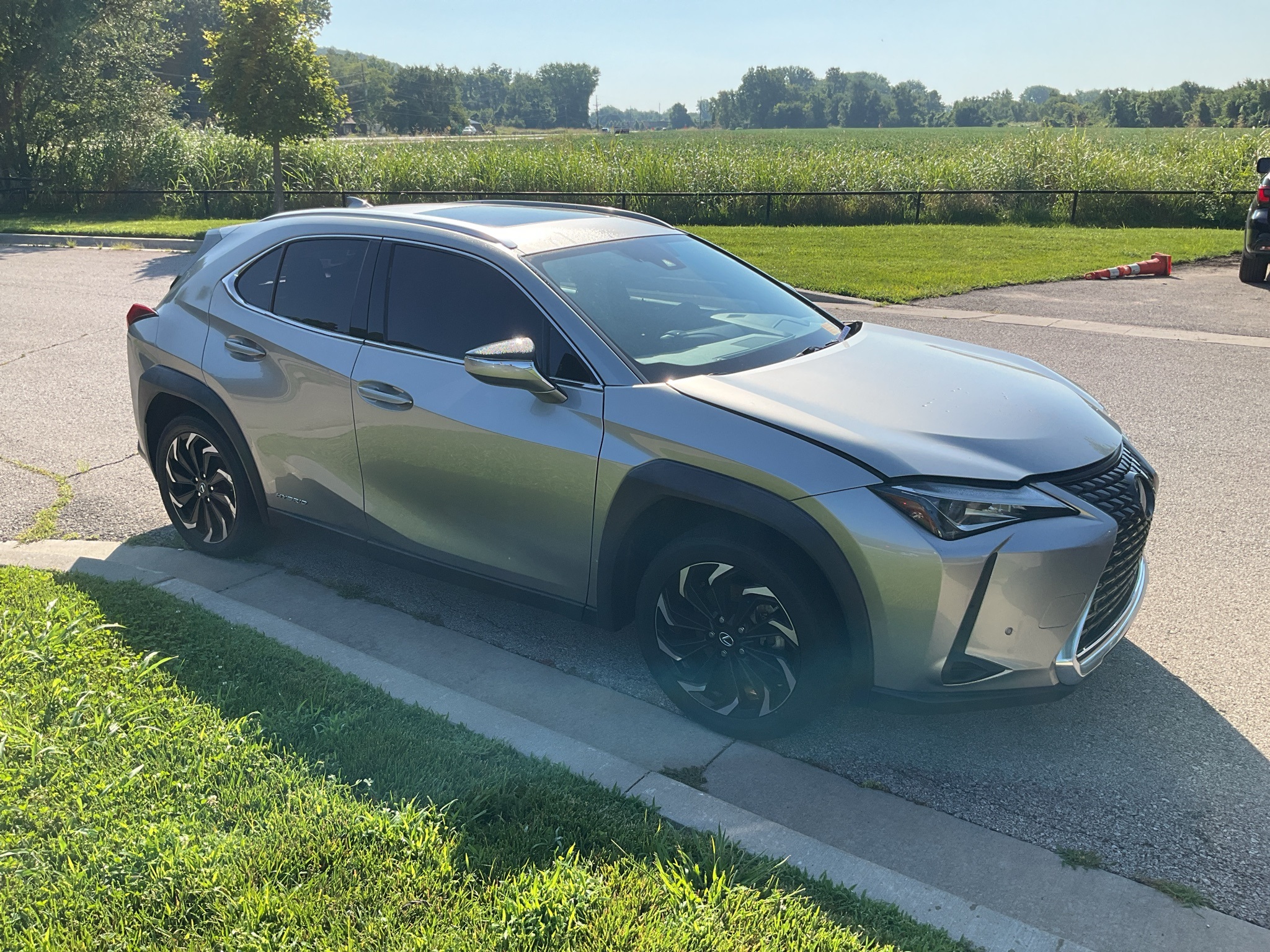 2020 Lexus UX 250h Base 2