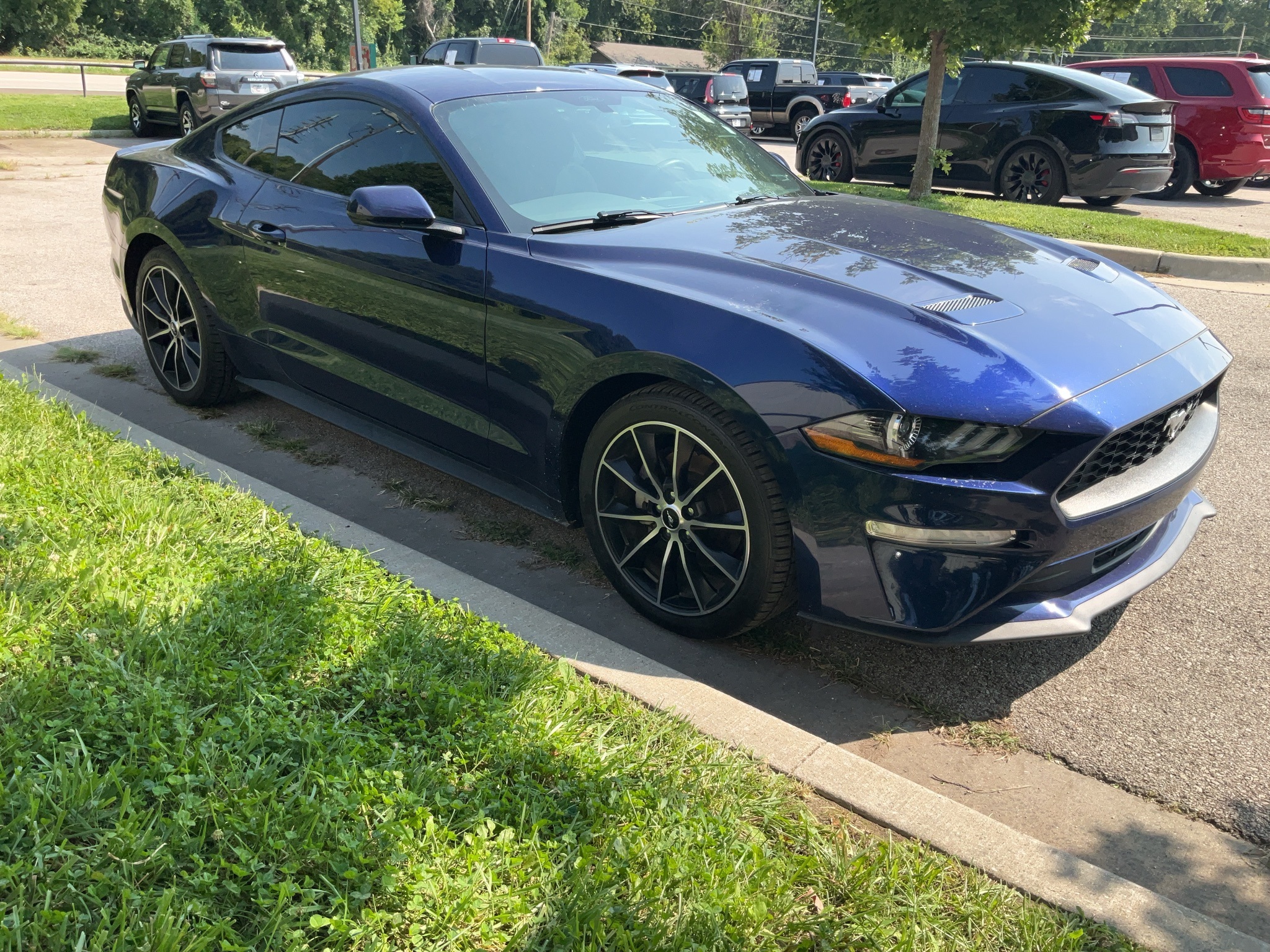 2019 Ford Mustang EcoBoost 3