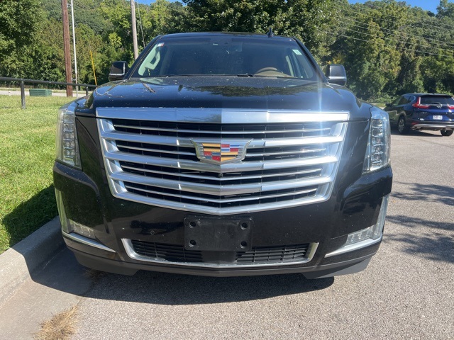 2016 Cadillac Escalade Platinum Edition 2