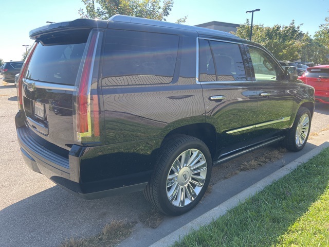 2016 Cadillac Escalade Platinum Edition 4