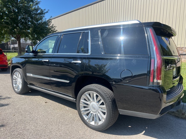 2016 Cadillac Escalade Platinum Edition 5