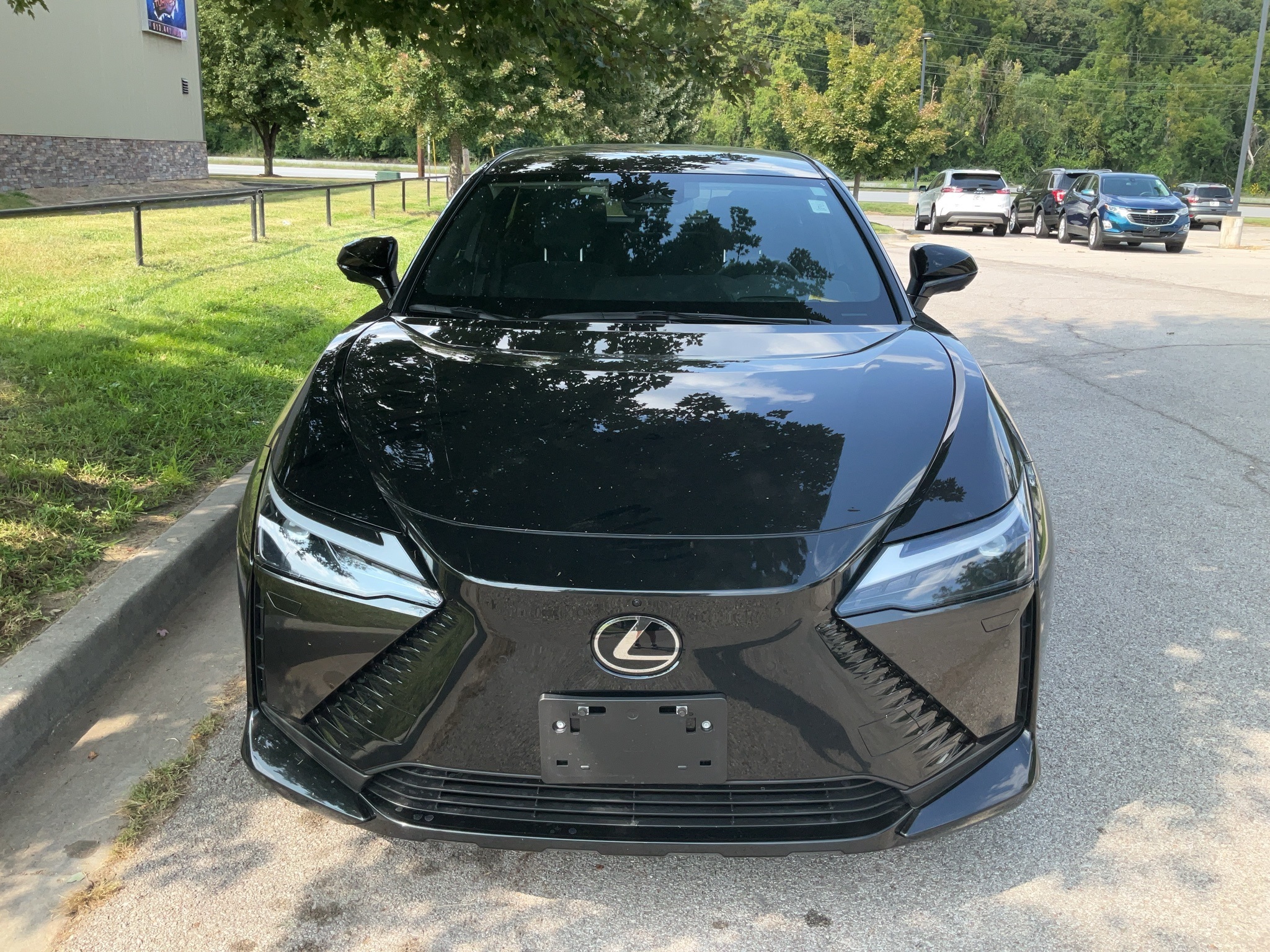 2023 Lexus RZ 450e Luxury 2