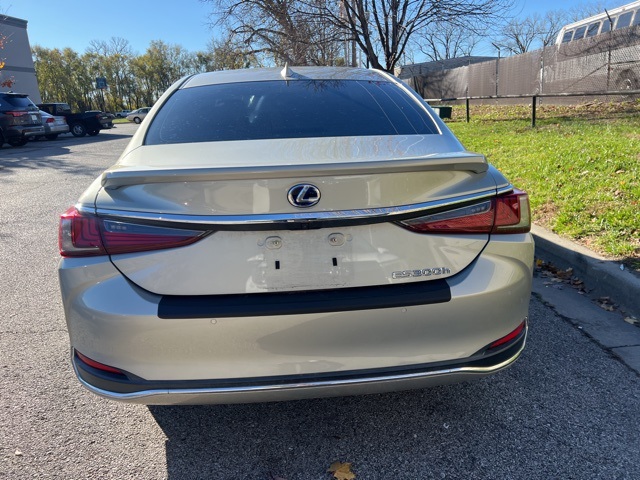 2020 Lexus ES 300h 4