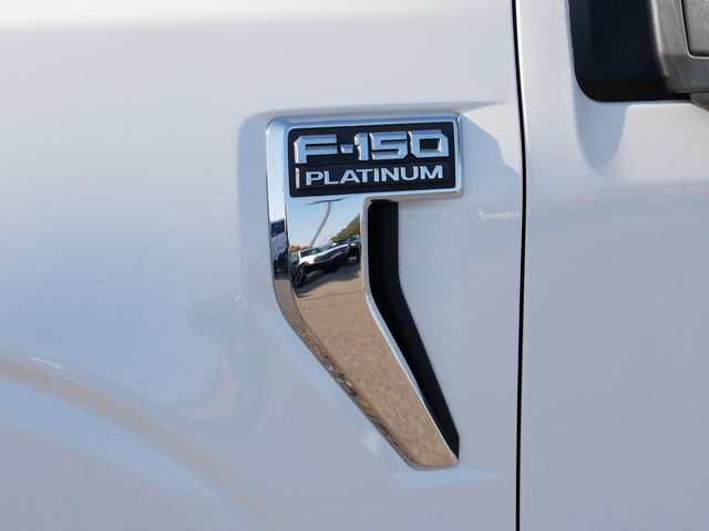 2022 Ford F-150 Platinum 10