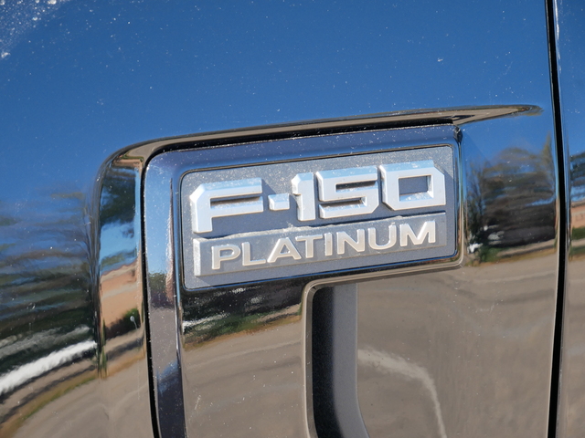 2024 Ford F-150 Platinum w/ 20 Black Wheels 10