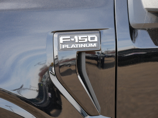 2024 Ford F-150 Platinum  10