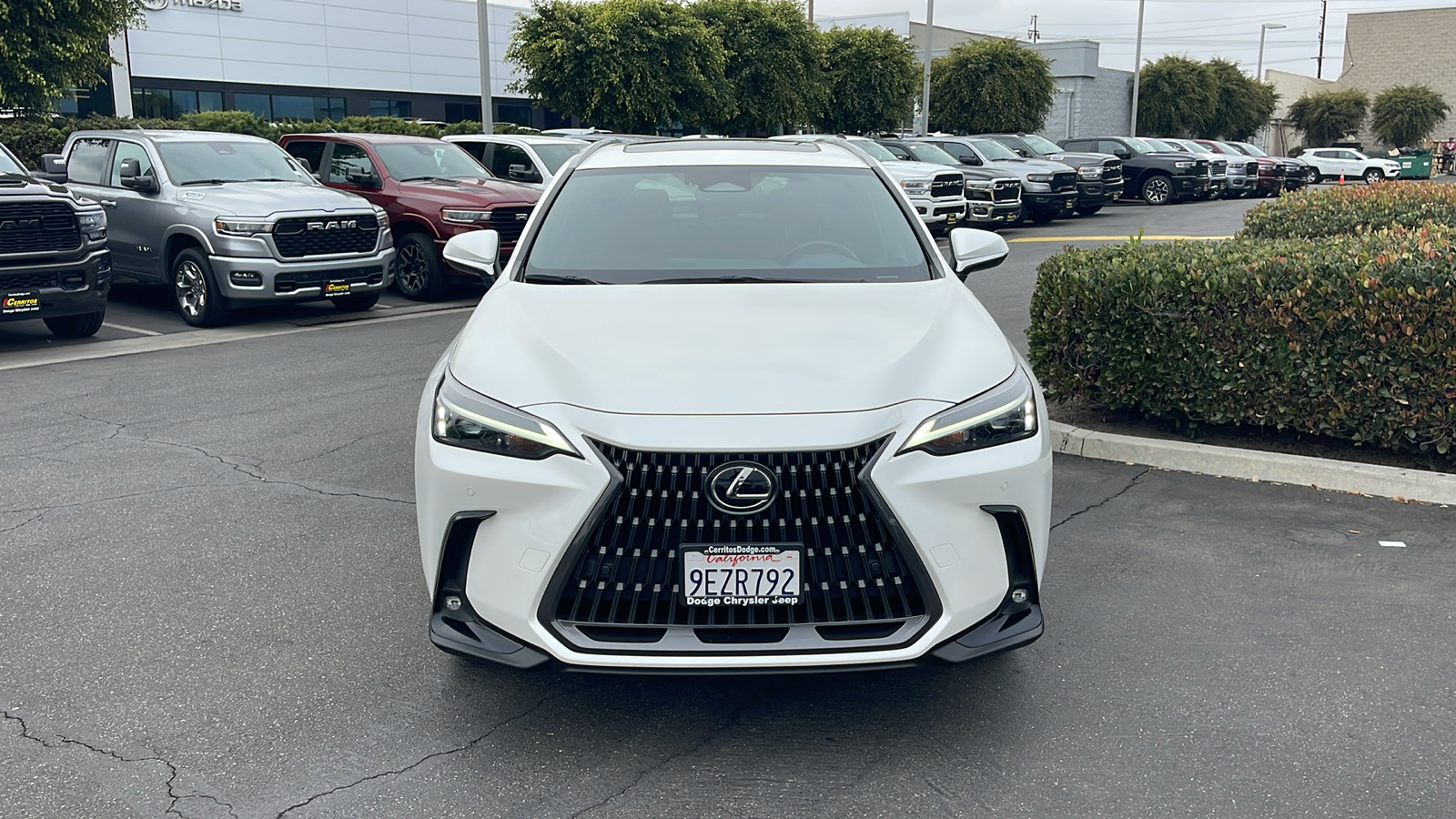 2023 Lexus NX NX 350h Premium 9