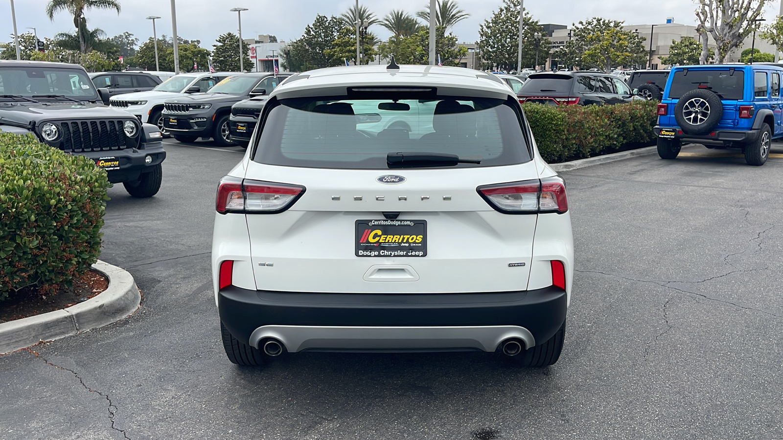 2020 Ford Escape SE Sport Hybrid 5