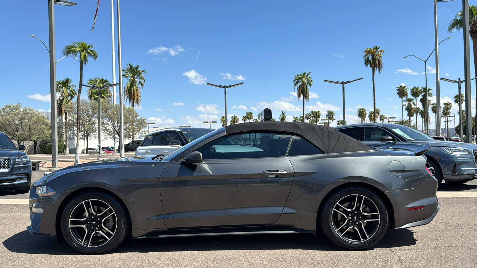 2019 Ford Mustang EcoBoost Premium 5